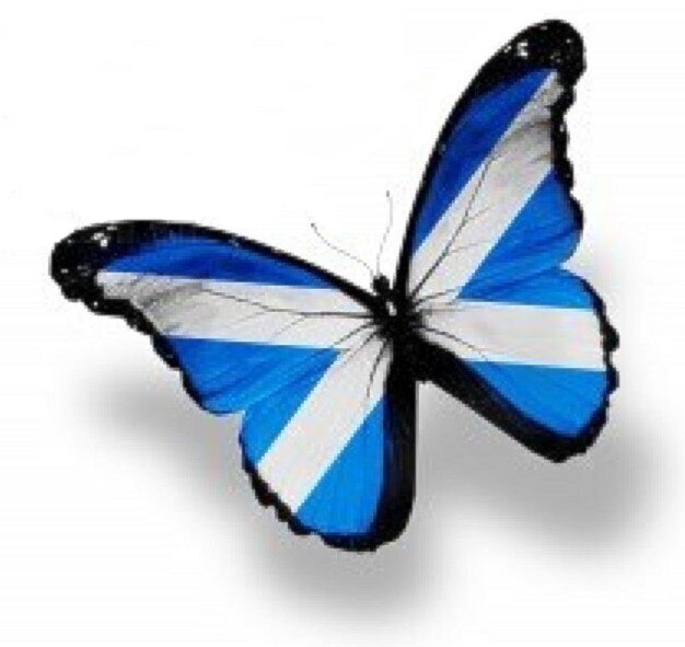 pinkmoonlfc's profile picture. Juve, Liverpool, Andy Murray and random stuff