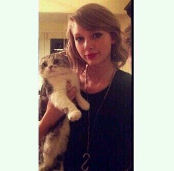 This is a free follow from @swiftftmace so please follow her!! she follows back, just ask bc otherwise shes lazy haha