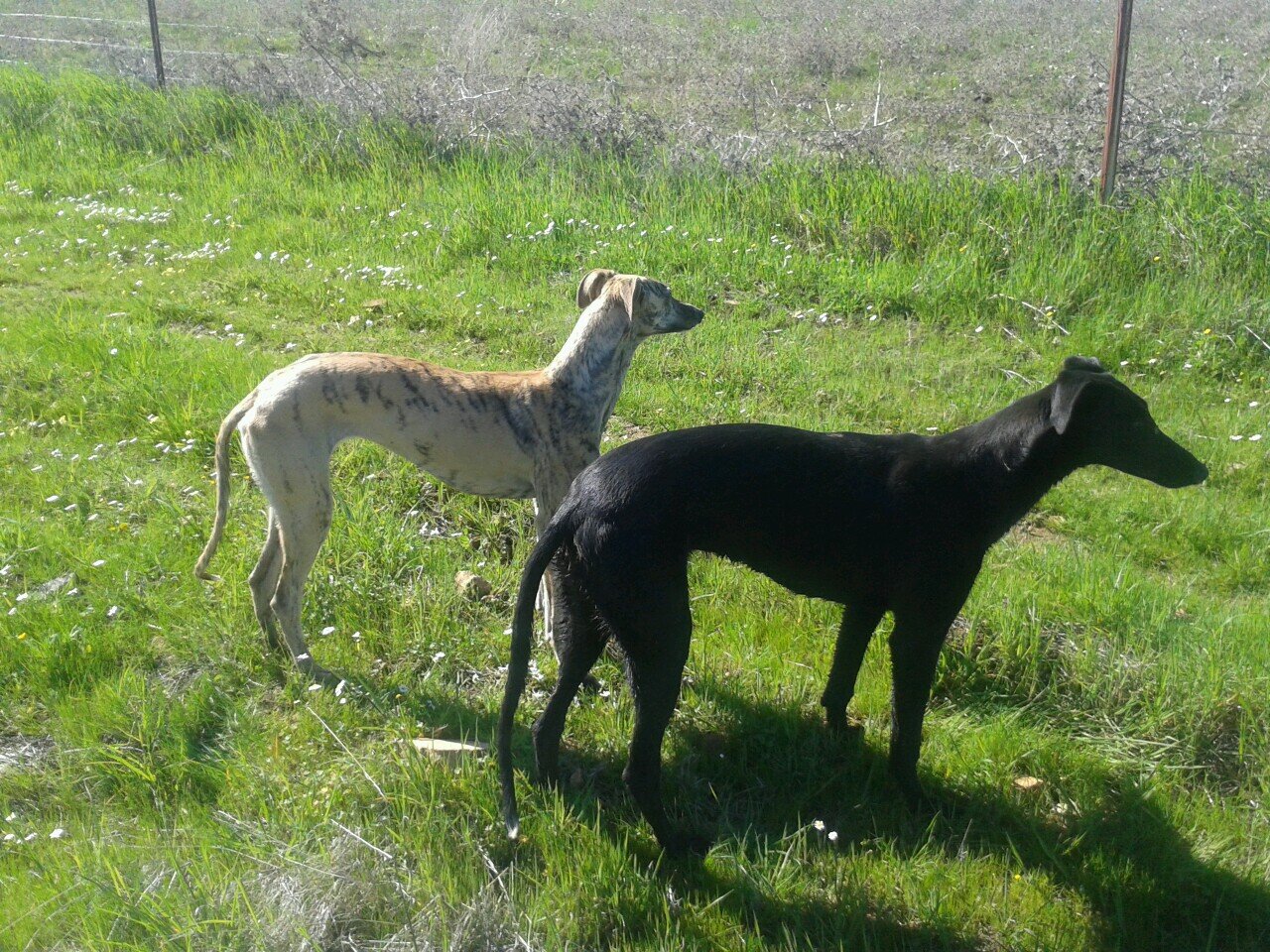 vallehondo70's profile picture. 