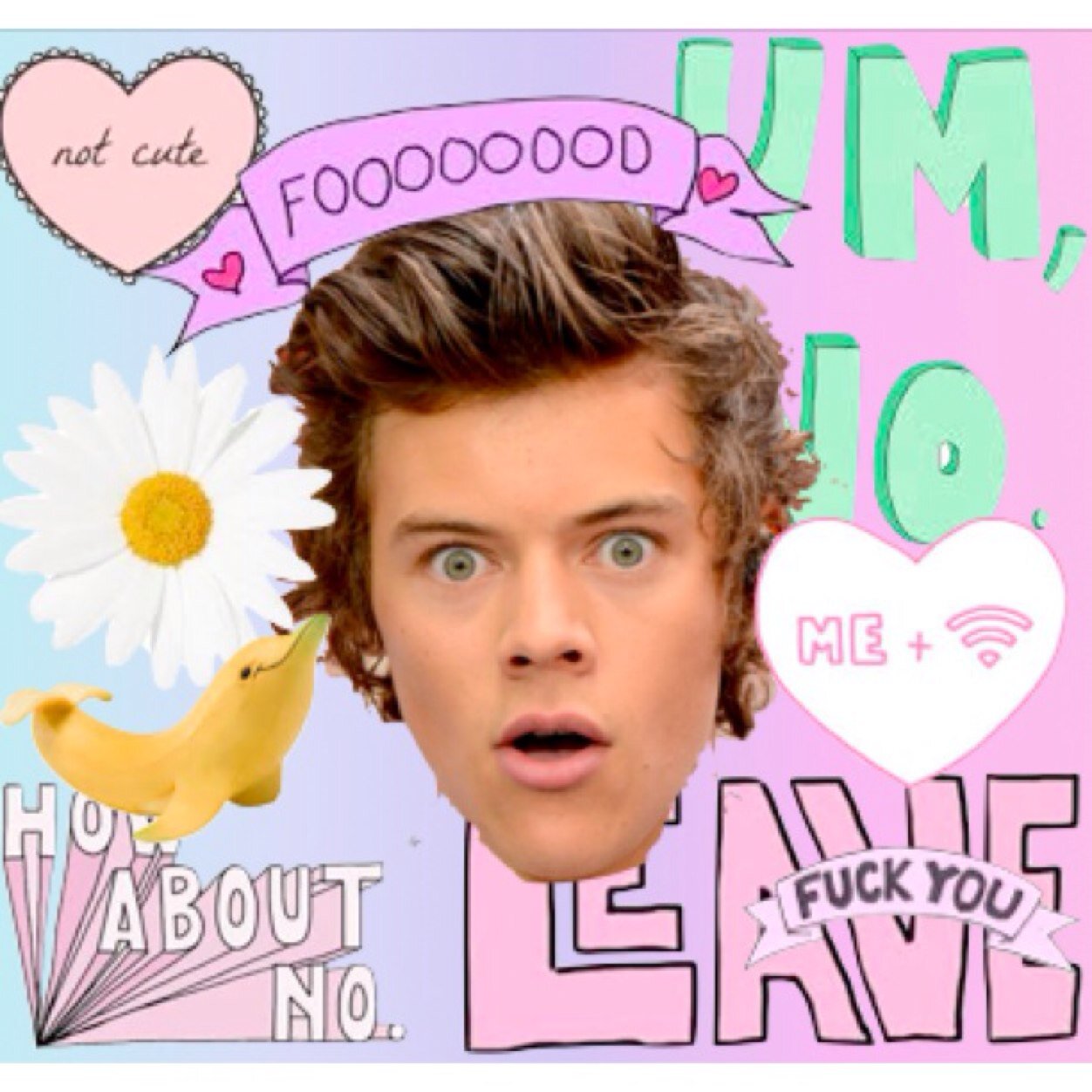 Hi pls follow @harryswalrus :)