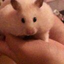 Sandra cherry - @sandracherry65 - Twitter