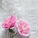 برٍنسيَسة آلُمدِيَنہ (@587_n) Twitter