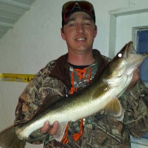 JustinSander's profile picture. 