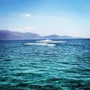 Henry Murray Cox - @murray_henry - Twitter