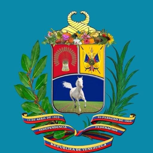 Abogado litigante