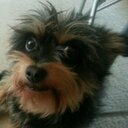 Debora Loeblein - @debielob - Twitter