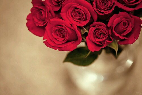 ~‏..ربي أحفظ لي أمي فـ هي مصدر سعآدتي..~
