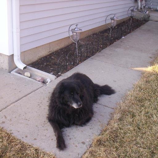 puddles95's profile picture. 