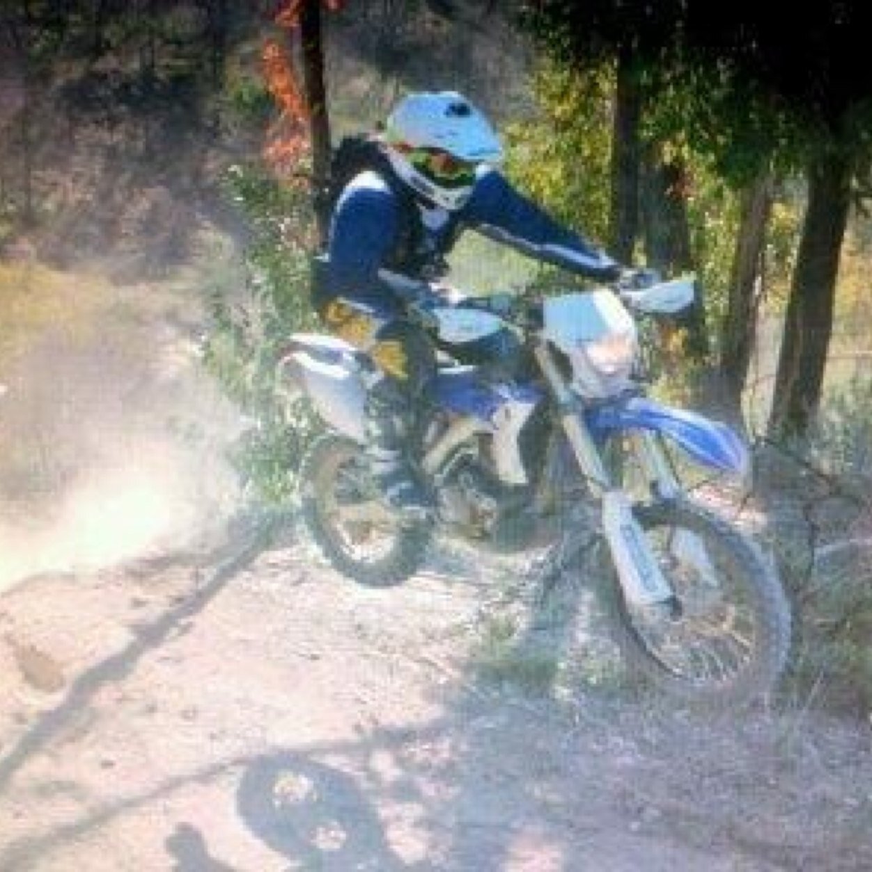 Gazsloane's profile picture. 