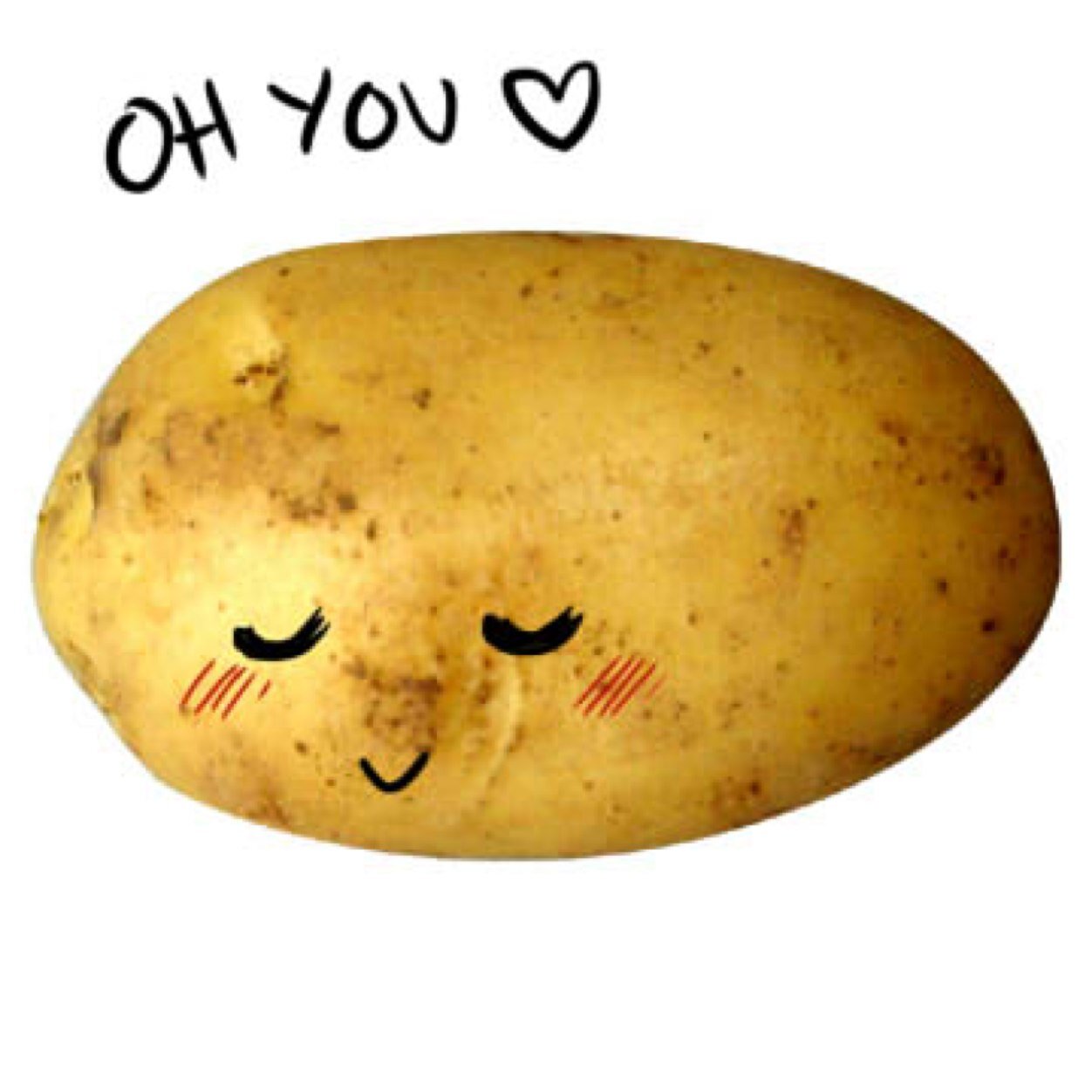thepotatofollow's profile picture. Free follow :) have a great day. Spread some positivity. I am a potato.