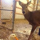 carol deyo - @DeyoCarol - Twitter