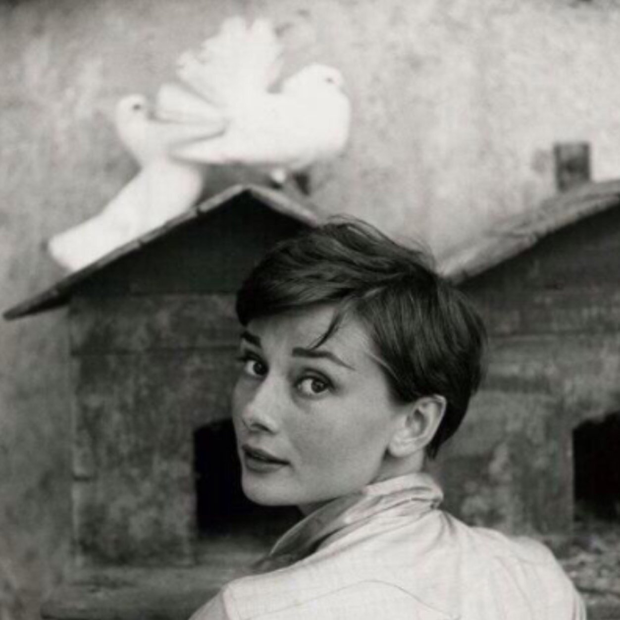 somayah_ju's profile picture. 