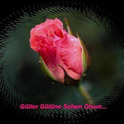 meltem_ensari's profile picture. eğitimci