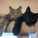 Robin Ebert - @RobinEbert26 - Twitter