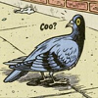 Pigeon Press (@pigeonpressnews) 's Twitter Profile
