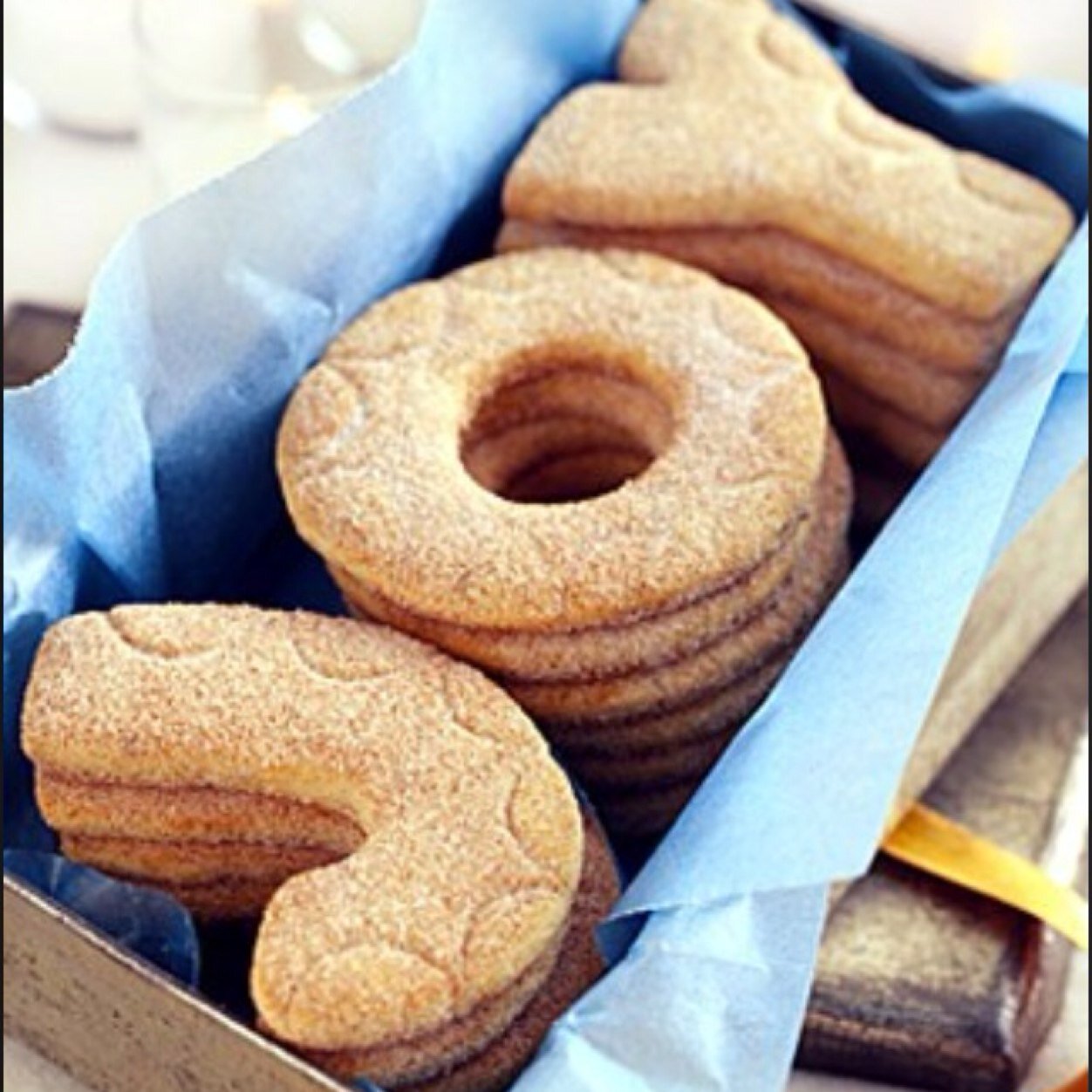 cjqcmccsc's profile picture. 