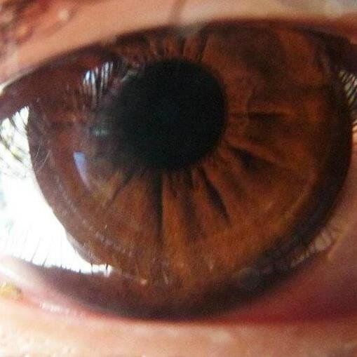 Djleonix24's profile picture. Aburrirme !