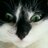 stewillo67's profile image