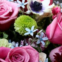 miko (@mikosays) 's Twitter Profile