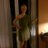cissy75's profile image