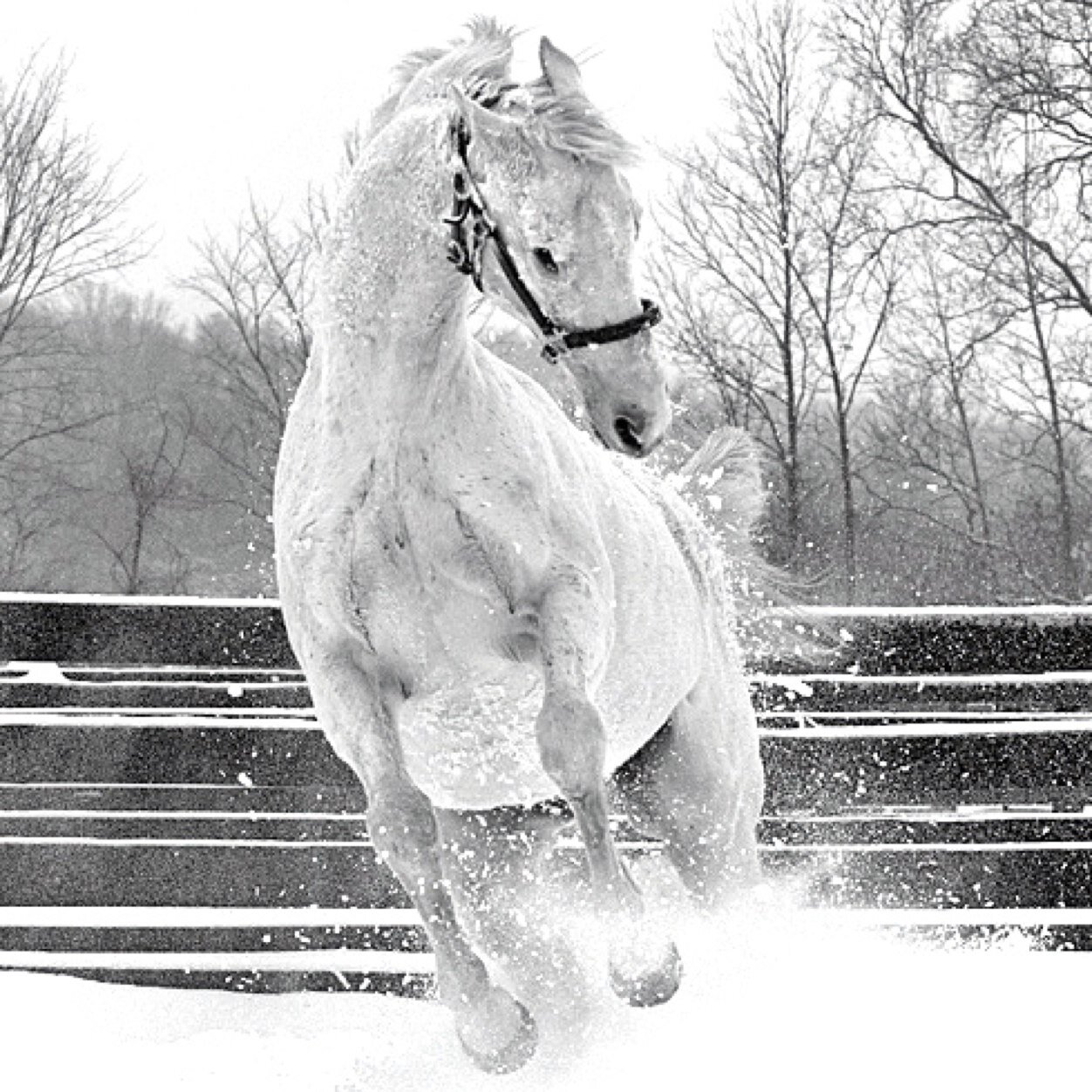 JohnTerranova1's profile picture. 