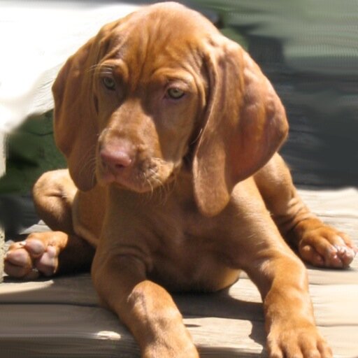 _JoanneFlanagan's profile picture. 