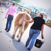 StockShowCompliments (@showcompliments) 's Twitter Profile