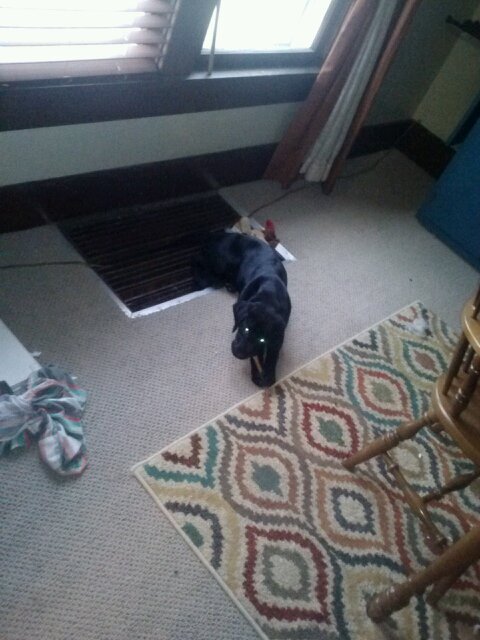 Dunnad1988ad's profile picture. small town guy from Kansas