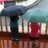 ulisesacostaco's profile image