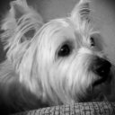 John Henning - @KaraokejohnJohn - Twitter