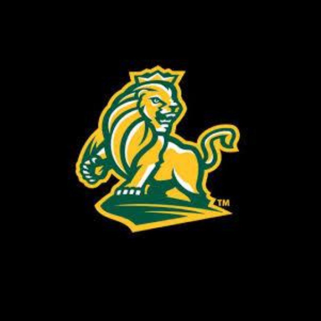 Official Twitter account of Methodist University Club Baseball. Inaugural Season in NCBA Division II (District III - East).