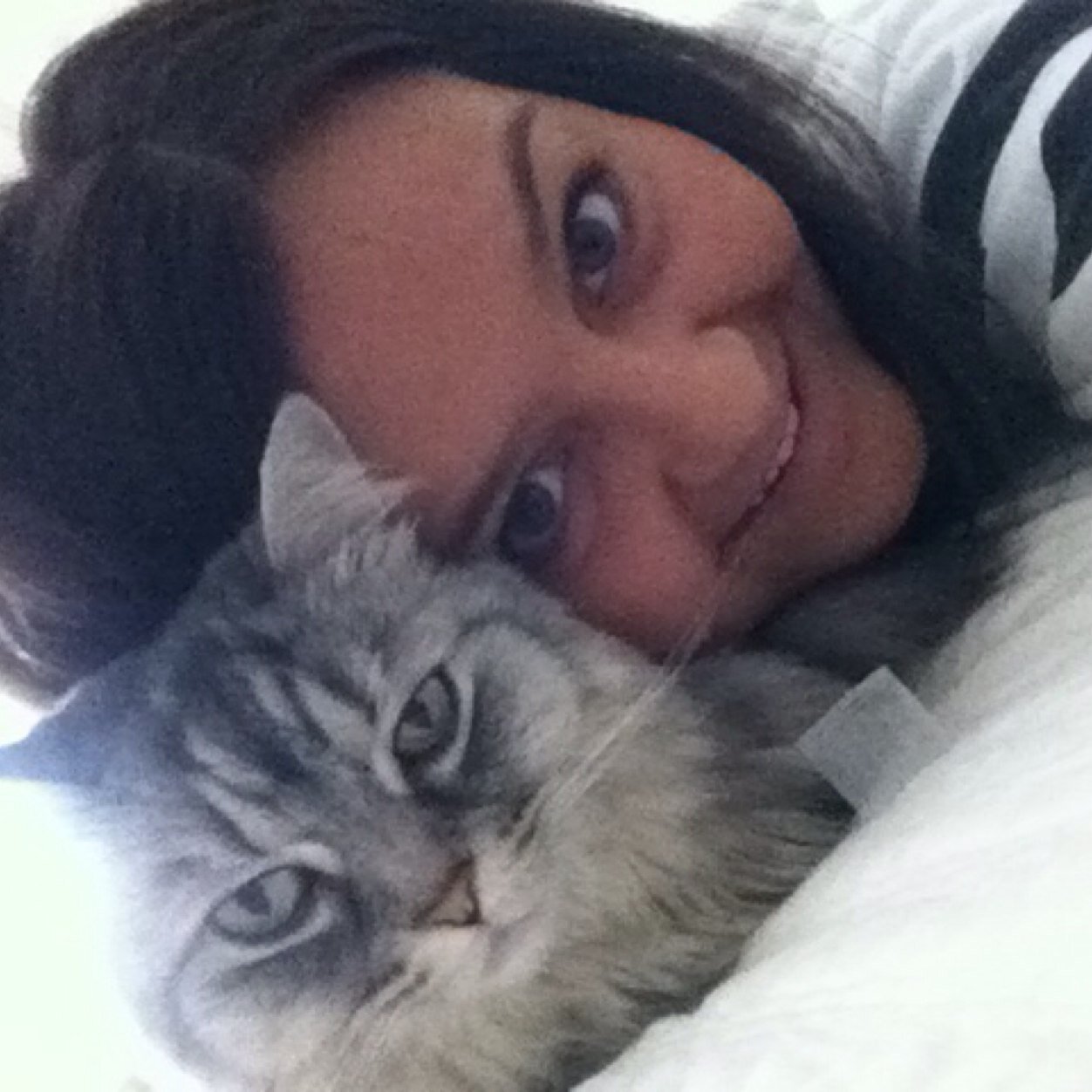 cvvanderzalm's profile picture. 