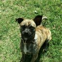 Mario Partida - @partida_mario - Twitter