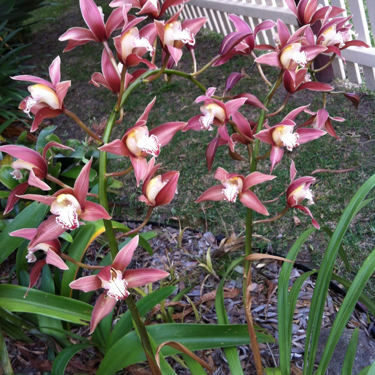 margcounter's profile picture. 