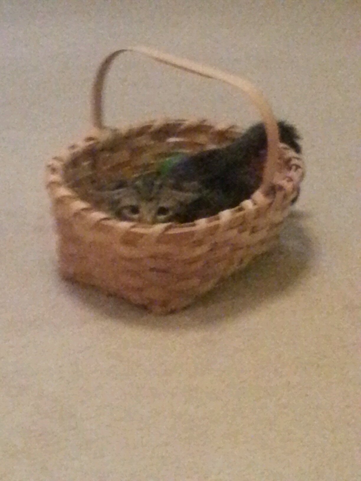 KC_StuckeyEng11's profile picture. Wife, Mother, English Teacher @KCHS