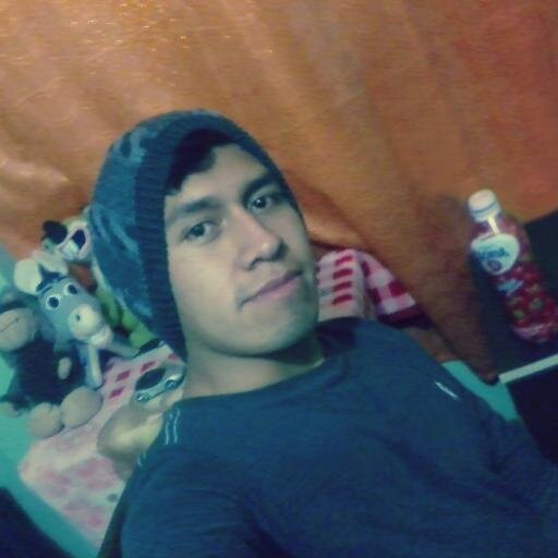 Estudiante de Computación e Informática en el Instituto Continental, aficionado a los animes y a juegos de estrategia.