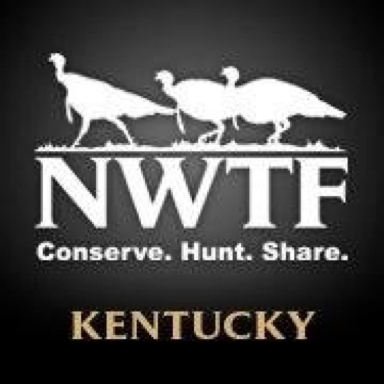 The official twitter account for the Big Sandy Chapter of the National Wild Turkey Federation.