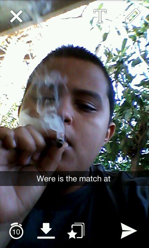 living young wild and free