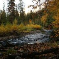 James Z Logan (@jameszlogan) 's Twitter Profile