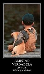 evelynmh's profile picture. 