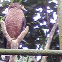 Dexter Peña - @PeaDexter - Twitter