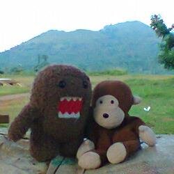 nycocelot's profile picture. World Traveler