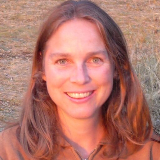 Climate scientist and professor @SFU | @IPCC_CH SR15 & AR6 lead author