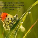 Silvia Baltazar Al - @Ba_Silvia7 - Twitter