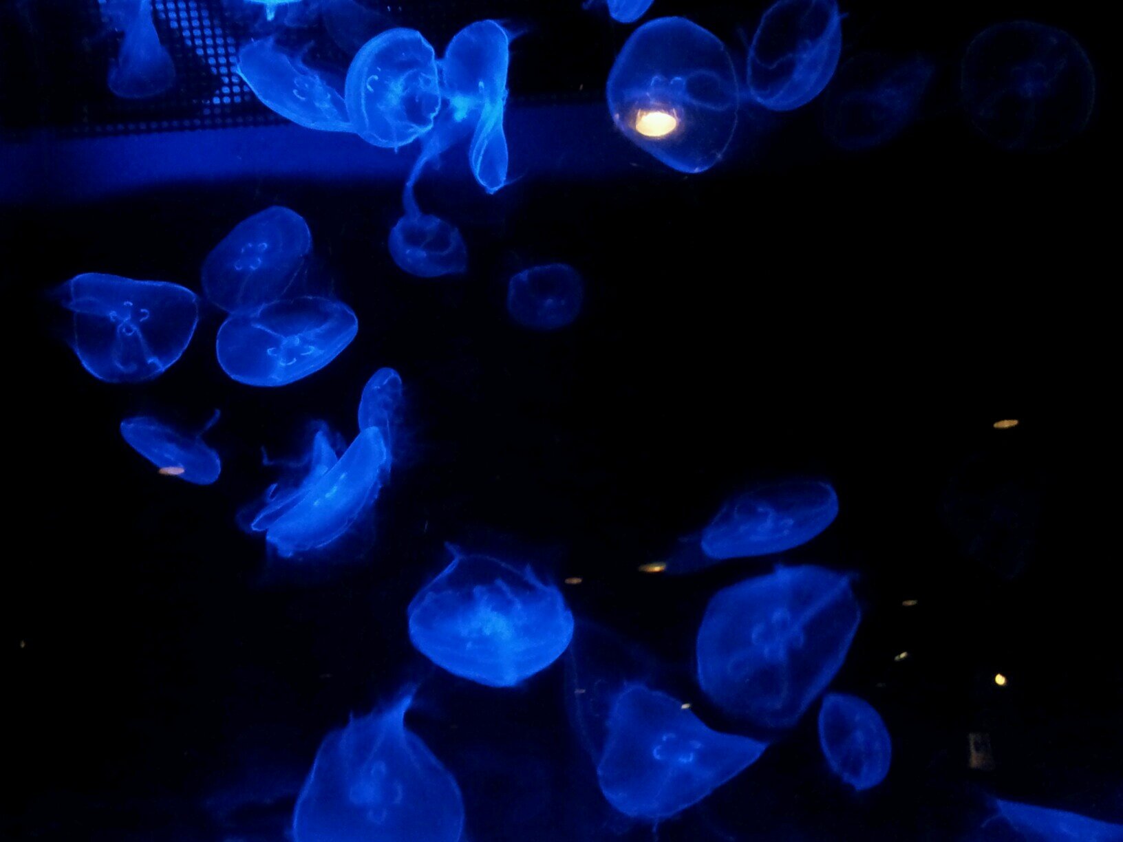 vw09230's profile picture. 海外に来て早5年
やっと帰任が決まった！！