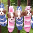 Janice McGhee - @Jazzmafrazz - Twitter