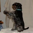 Sandra Staats - @Dondras - Twitter