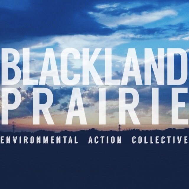 Blackland Prairie Environmental Action Collective works toward creation of direct democracy in the region while halting destruction of our biosphere.