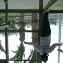 Felipe Santander - @propolio - Twitter