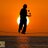 mykeywestphoto's profile image